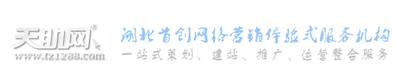 武汉网络营销
