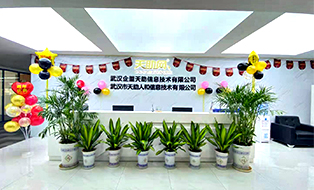 武汉网站建设公司