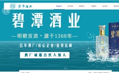 湖北碧潭酒业有限公司