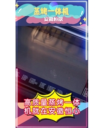 参考案例十七