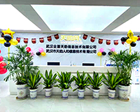 代表图
